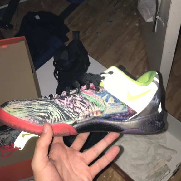 Prelude Kobe 8s - Picture 3 of 12